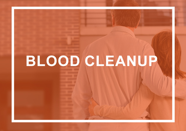 blood cleanup